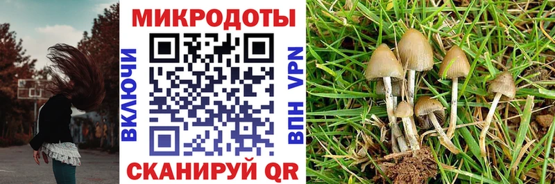 купить закладку  Бутурлиновка  mega зеркало  Галлюциногенные грибы GOLDEN TEACHER 